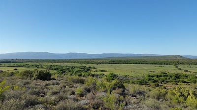 Irrigation farm to be sold on auction